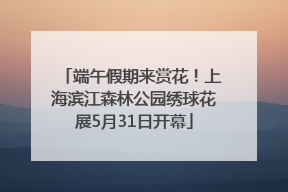 端午假期来赏花！上海滨江森林公园绣球花展5月31日开幕