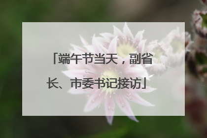 端午节当天，副省长、市委书记接访