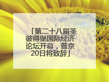 第二十八届圣彼得堡国际经济论坛开幕，普京20日将致辞
