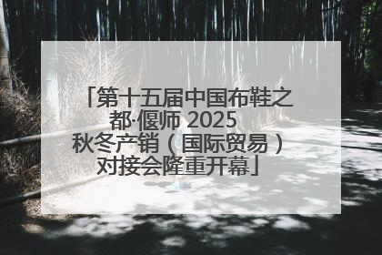 第十五届中国布鞋之都·偃师 2025 秋冬产销（国际贸易）对接会隆重开幕