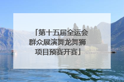 第十五届全运会群众展演舞龙舞狮项目预赛开赛