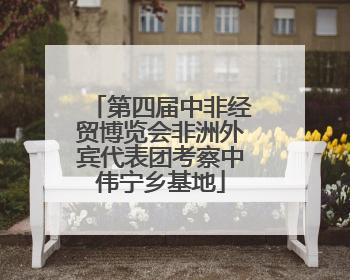 第四届中非经贸博览会非洲外宾代表团考察中伟宁乡基地