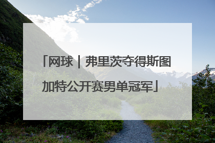 网球｜弗里茨夺得斯图加特公开赛男单冠军