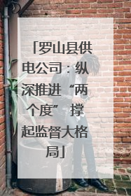 罗山县供电公司：纵深推进“两个度” 撑起监督大格局