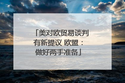 美对欧贸易谈判有新提议 欧盟：做好两手准备