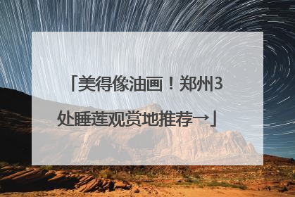 美得像油画！郑州3处睡莲观赏地推荐→