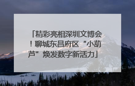 精彩亮相深圳文博会！聊城东昌府区“小葫芦”焕发数字新活力