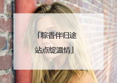 粽香伴归途 站点绽温情