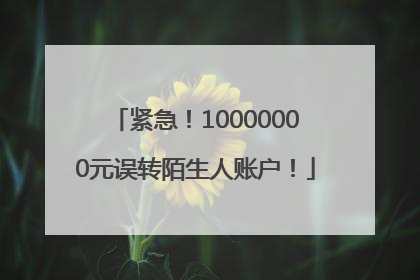紧急！10000000元误转陌生人账户！