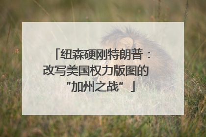 纽森硬刚特朗普：改写美国权力版图的 “加州之战”
