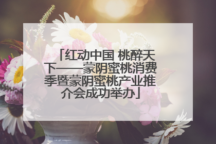 红动中国 桃醉天下——蒙阴蜜桃消费季暨蒙阴蜜桃产业推介会成功举办