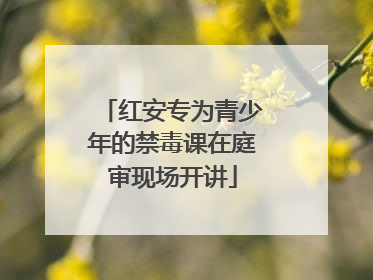 红安专为青少年的禁毒课在庭审现场开讲