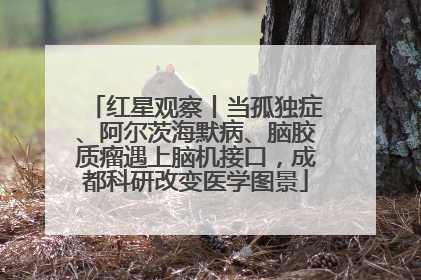 红星观察丨当孤独症、阿尔茨海默病、脑胶质瘤遇上脑机接口，成都科研改变医学图景
