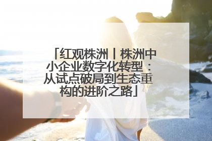 红观株洲丨株洲中小企业数字化转型：从试点破局到生态重构的进阶之路