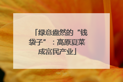 绿意盎然的“钱袋子”：高原夏菜成富民产业