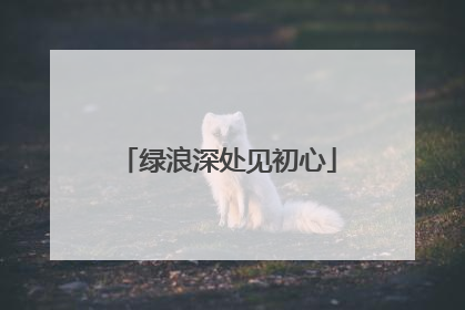绿浪深处见初心