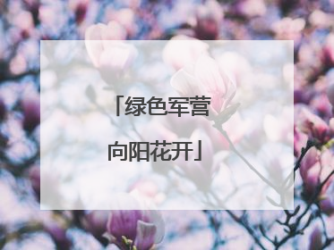 绿色军营 向阳花开