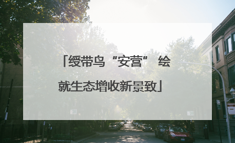 绶带鸟“安营” 绘就生态增收新景致