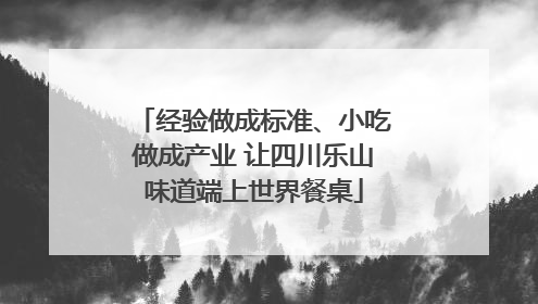经验做成标准、小吃做成产业 让四川乐山味道端上世界餐桌