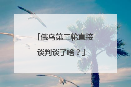 俄乌第二轮直接谈判谈了啥？