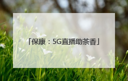 保康：5G直播助茶香