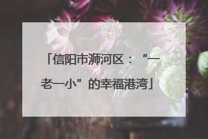 信阳市浉河区：“一老一小”的幸福港湾