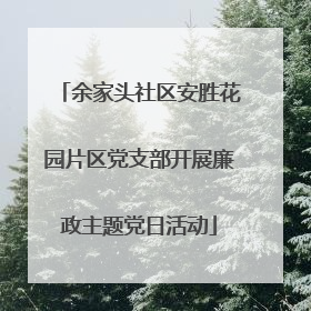 余家头社区安胜花园片区党支部开展廉政主题党日活动