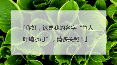 你好，这是我的名字“鱼人叶硝水母”，请多关照！