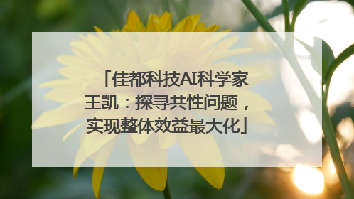 佳都科技AI科学家王凯：探寻共性问题，实现整体效益最大化