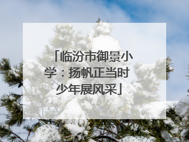 临汾市御景小学：扬帆正当时 少年展风采