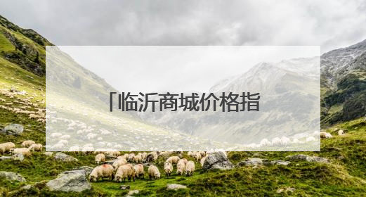 临沂商城价格指数分析（6月5日—6月11日）