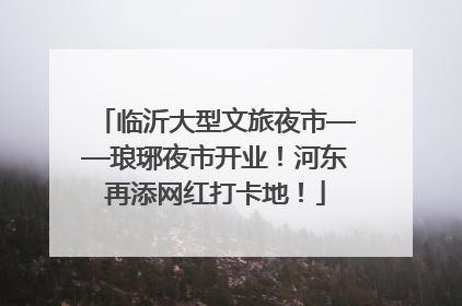 临沂大型文旅夜市——琅琊夜市开业！河东再添网红打卡地！
