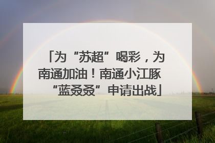 为“苏超”喝彩，为南通加油！南通小江豚“蓝叒叒”申请出战