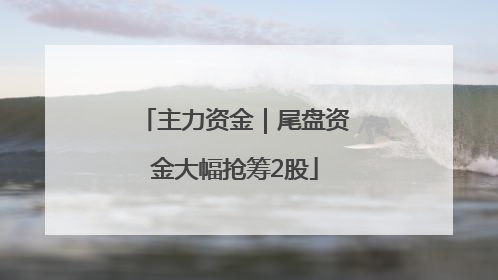 主力资金｜尾盘资金大幅抢筹2股