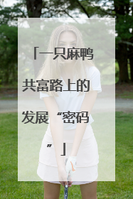 一只麻鸭共富路上的发展“密码”