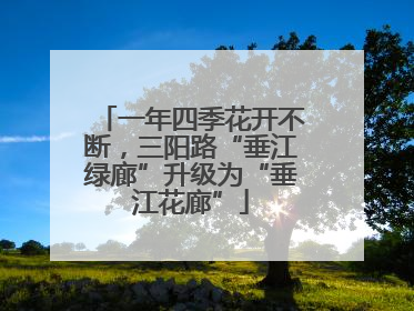 一年四季花开不断，三阳路“垂江绿廊”升级为“垂江花廊”