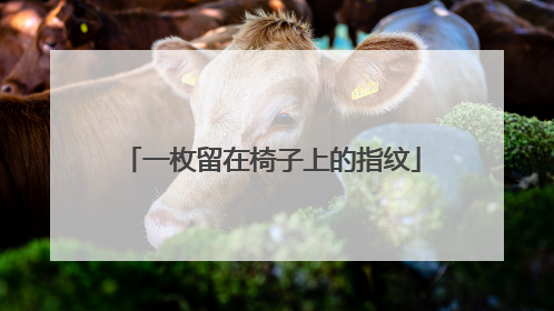 一枚留在椅子上的指纹