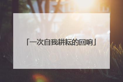 一次自我耕耘的回响