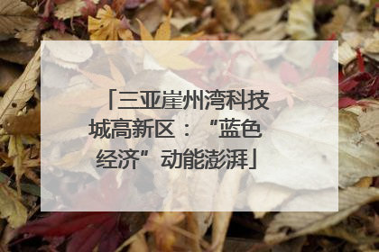 三亚崖州湾科技城高新区：“蓝色经济”动能澎湃