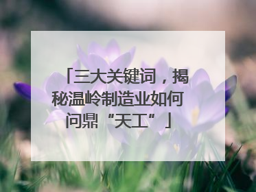 三大关键词，揭秘温岭制造业如何问鼎“天工”