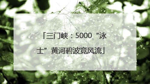 三门峡：5000“泳士”黄河碧波竞风流