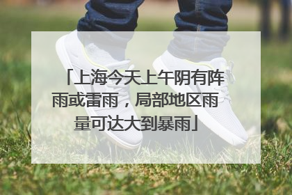 上海今天上午阴有阵雨或雷雨，局部地区雨量可达大到暴雨