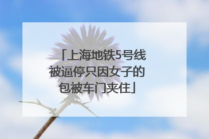 上海地铁5号线被逼停只因女子的包被车门夹住