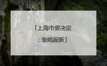 上海市委决定：张鸣履新
