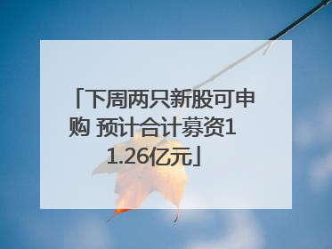 下周两只新股可申购 预计合计募资11.26亿元