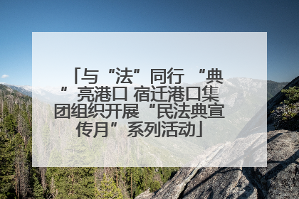 与“法”同行 “典”亮港口 宿迁港口集团组织开展“民法典宣传月”系列活动