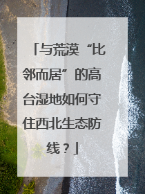 与荒漠“比邻而居”的高台湿地如何守住西北生态防线？