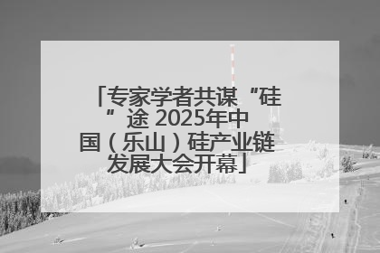 专家学者共谋“硅”途 2025年中国（乐山）硅产业链发展大会开幕