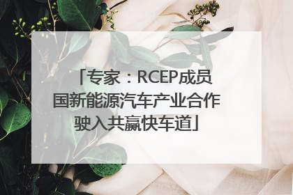 专家：RCEP成员国新能源汽车产业合作驶入共赢快车道