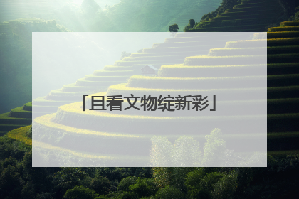 且看文物绽新彩